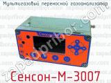 Мультигазовый переносной газоанализатор Сенсон-М-3007 