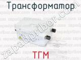 ТГМ фотография 2 трансформатора.