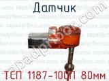 Датчик ТСП 1187-100П 80мм