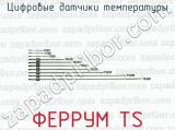 Цифровые датчики температуры ФЕРРУМ TS