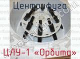 ЦЛУ-1 «Орбита» фотография 2 центрифуги.