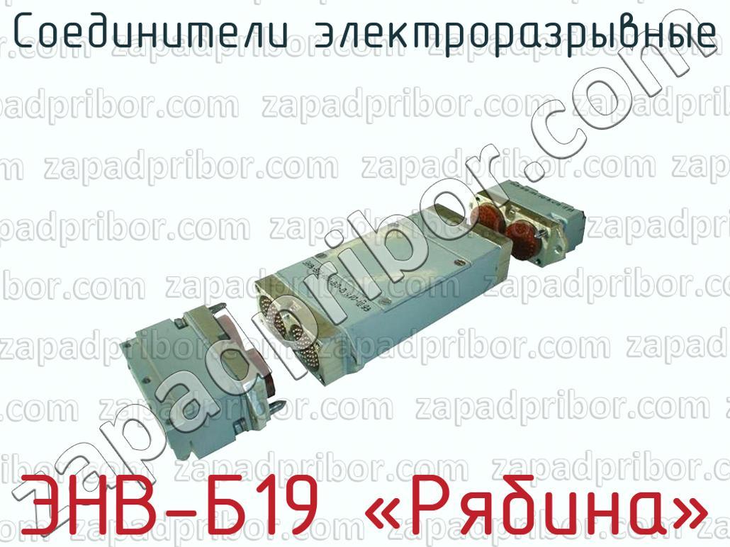 ЭНВ-Б19 «Рябина» - Соединители электроразрывные - фотография.