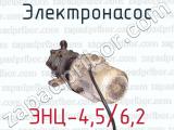 Электронасос ЭНЦ-4,5/6,2