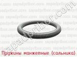 Пружины манжетные (сальника) фотография 2.