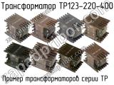 ТР123-220-400 