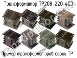 ТР208-220-400 
