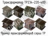 ТР234-220-400 