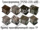 ТР250-220-400 