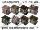 ТР273-220-400