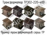 ТР302-220-400