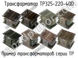ТР325-220-400 