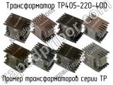 ТР405-220-400 