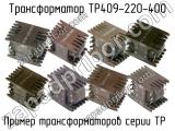 ТР409-220-400 