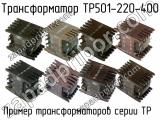 ТР501-220-400 