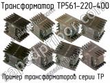ТР561-220-400 