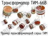 ТИМ-66В 