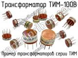 ТИМ-100В 