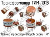 ТИМ-101В 