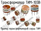 ТИМ-103В 