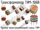 ТИМ-106В 