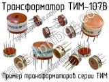 ТИМ-107В 