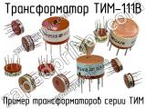 ТИМ-111В 