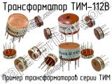 ТИМ-112В 