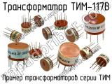 ТИМ-117В 