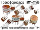 ТИМ-119В 