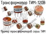 ТИМ-120В 