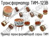 ТИМ-123В 