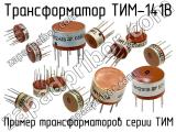 ТИМ-141В 