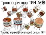 ТИМ-161В 