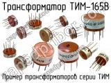 ТИМ-165В 