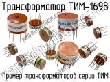 ТИМ-169В 
