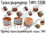 ТИМ-170В 