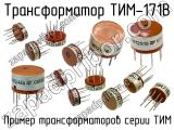 ТИМ-171В 