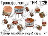 ТИМ-172В 