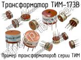 ТИМ-173В 