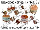ТИМ-176В 