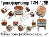 ТИМ-178В 