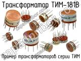 ТИМ-181В 