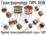 ТИМ-183В 