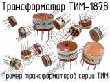 ТИМ-187В 