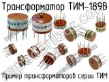 ТИМ-189В 