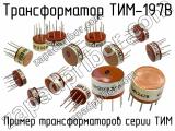 ТИМ-197В 