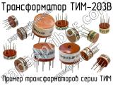 ТИМ-203В 
