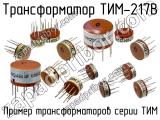 ТИМ-217В 