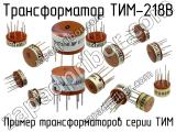ТИМ-218В 