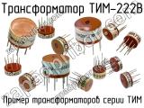 ТИМ-222В 